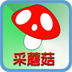采蘑菇