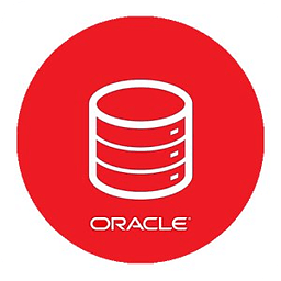 Oracle 报错 Ora-20001