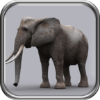 猛犸象猎人2014 Elephant Hunter