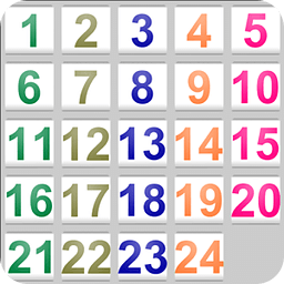 24 Puzzle