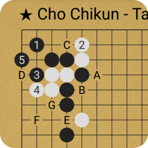 圍棋猜測:Guess the Move