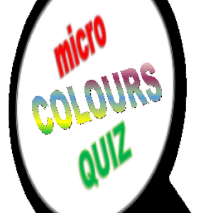 Colours Quiz