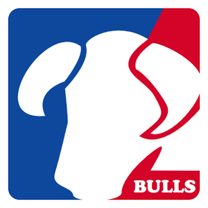 Guess The Bulls Players