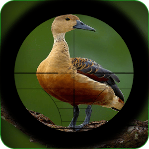 Extreme Jungle Birds Hunting