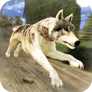 猎人 狼 - 马畜群 - Hunter Wolf