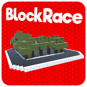 BlockRace -Fahr gegen die Zeit