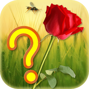 Guess the Flower