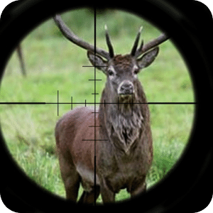 Deer Hunt: Rifle Shot Kill