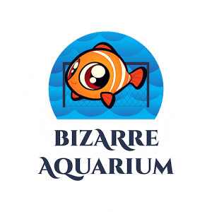 Bizarre Aquarium