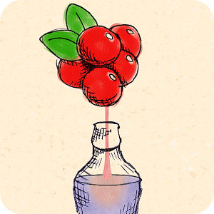 BerryMaker – DNA soda factory
