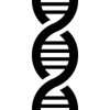 DNA ligase quiz