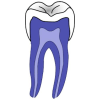 Dentist quiz