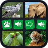 Animal sounds+pictures App For kids