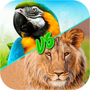 Birds Vs Animals