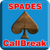 SPADES CallBreak