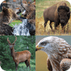 guess the animal : for kids