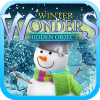 Hidden Object - Winter Wonders