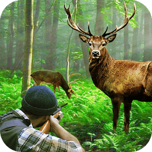 野獵人：經典鹿追獵