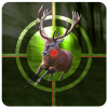 Wild Safari Hunter: Hunting & Shooting 3D