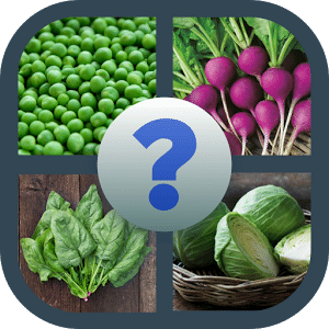 Guess the vegetable