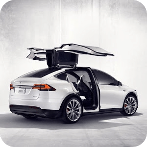 Tesla Electric Car Game