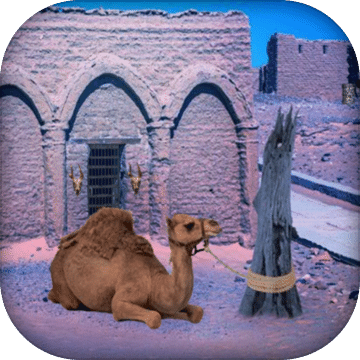 Escape Game - Desert Camel