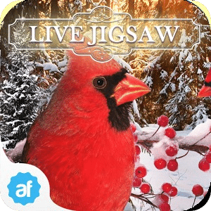 Live Jigsaws - Winterland Free