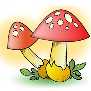 Poison Fruit