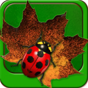 Hungry Bug Rider