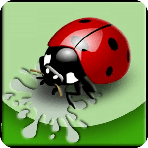 Ladybug Attack