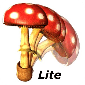 Mushro Lite