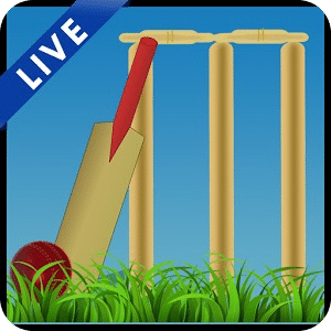 Cricket Buzz