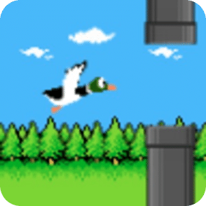 Floppy Duck