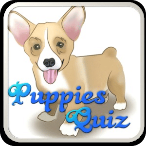 Puppy Dog Breeds Quiz