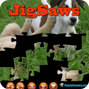 Puppy Jigsaw Puzzle 800x600