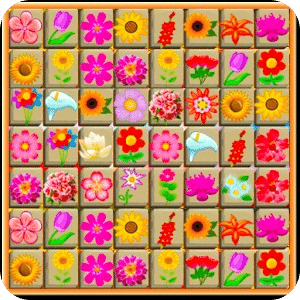 Flower Connect Onet New