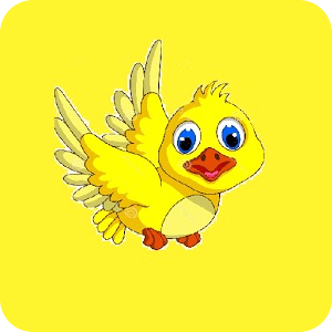 Wisdom Winged Bird