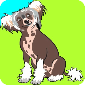 Dogs Games Toddlers for Free