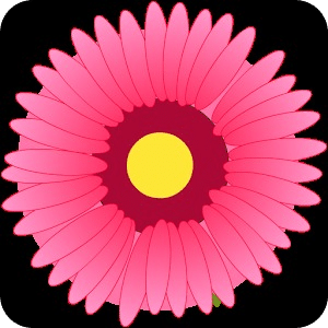 Flower Garden -HiddenAlphabets