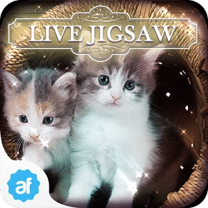 Live Jigsaws - Lost Cats