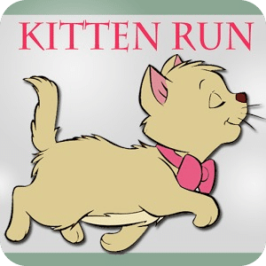 Kitten Run Away