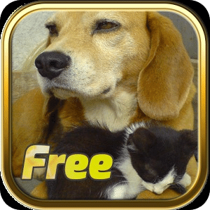 Free Dogs and Cats Puzzles