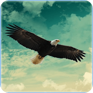 Eagle Hunter