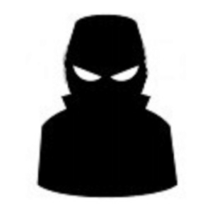 Spy Runner