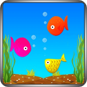 Live Fish Splash