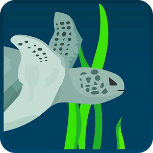 Deep Turtle