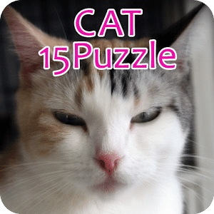 CAT15Puzzle free
