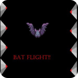 Bat Flight
