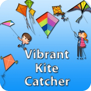 Vibrant Kite Catcher