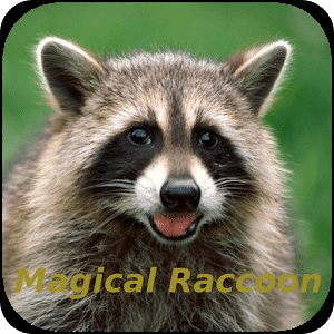 Magical Raccoon